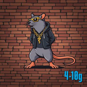 Frozen Rats (Pinky) — 25 Count