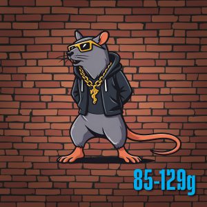 Rat — Medium